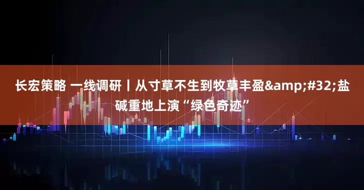 长宏策略 一线调研丨从寸草不生到牧草丰盈&#32;盐碱重地上演“绿色奇迹”