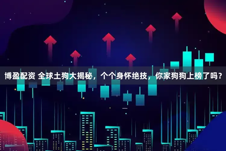 博盈配资 全球土狗大揭秘，个个身怀绝技，你家狗狗上榜了吗？