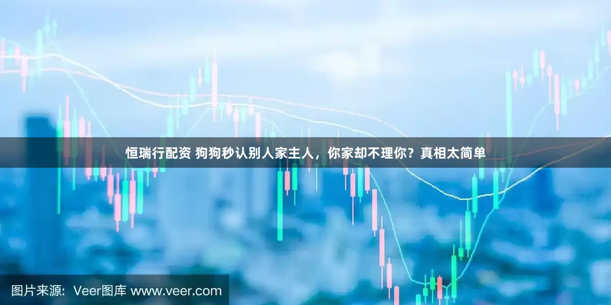 恒瑞行配资 狗狗秒认别人家主人，你家却不理你？真相太简单