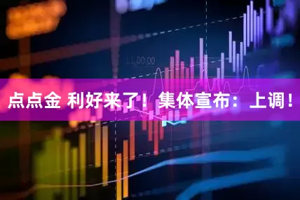点点金 利好来了！集体宣布：上调！