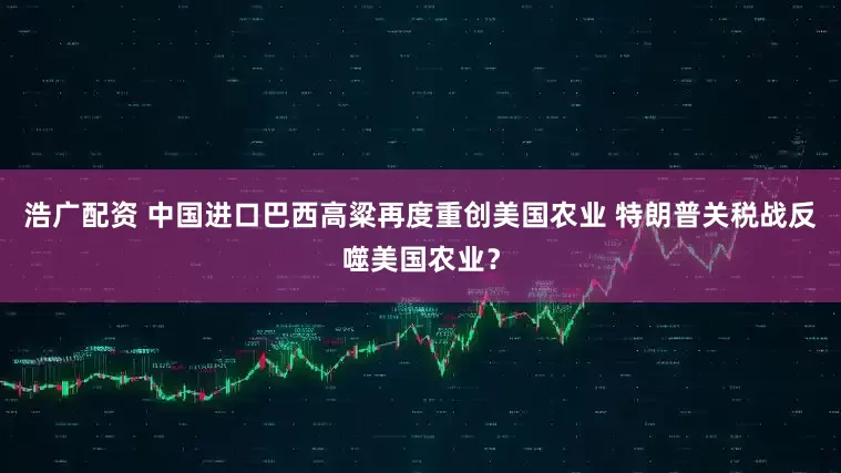 浩广配资 中国进口巴西高粱再度重创美国农业 特朗普关税战反噬美国农业？