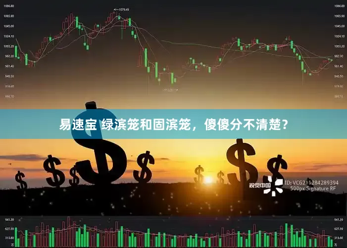 易速宝 绿滨笼和固滨笼，傻傻分不清楚？