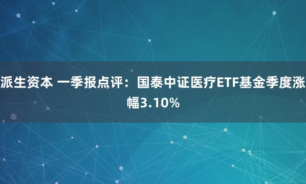派生资本 一季报点评：国泰中证医疗ETF基金季度涨幅3.10%